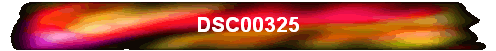 DSC00325
