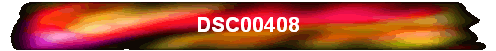 DSC00408