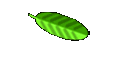 Photo Gallery