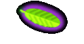 Village Homestay