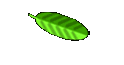 Village Homestay