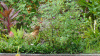 DSC00325